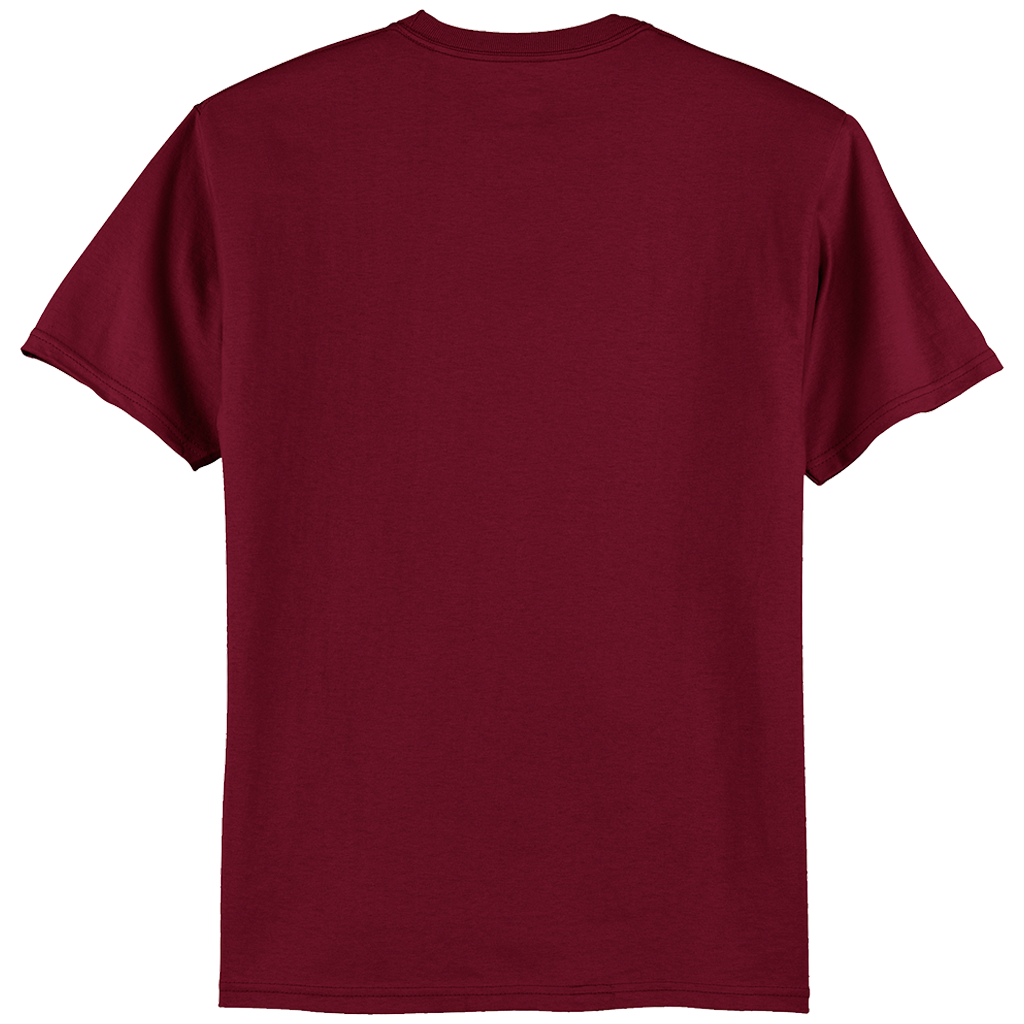 Hanes Authentic 100% Cotton T-Shirt 5250