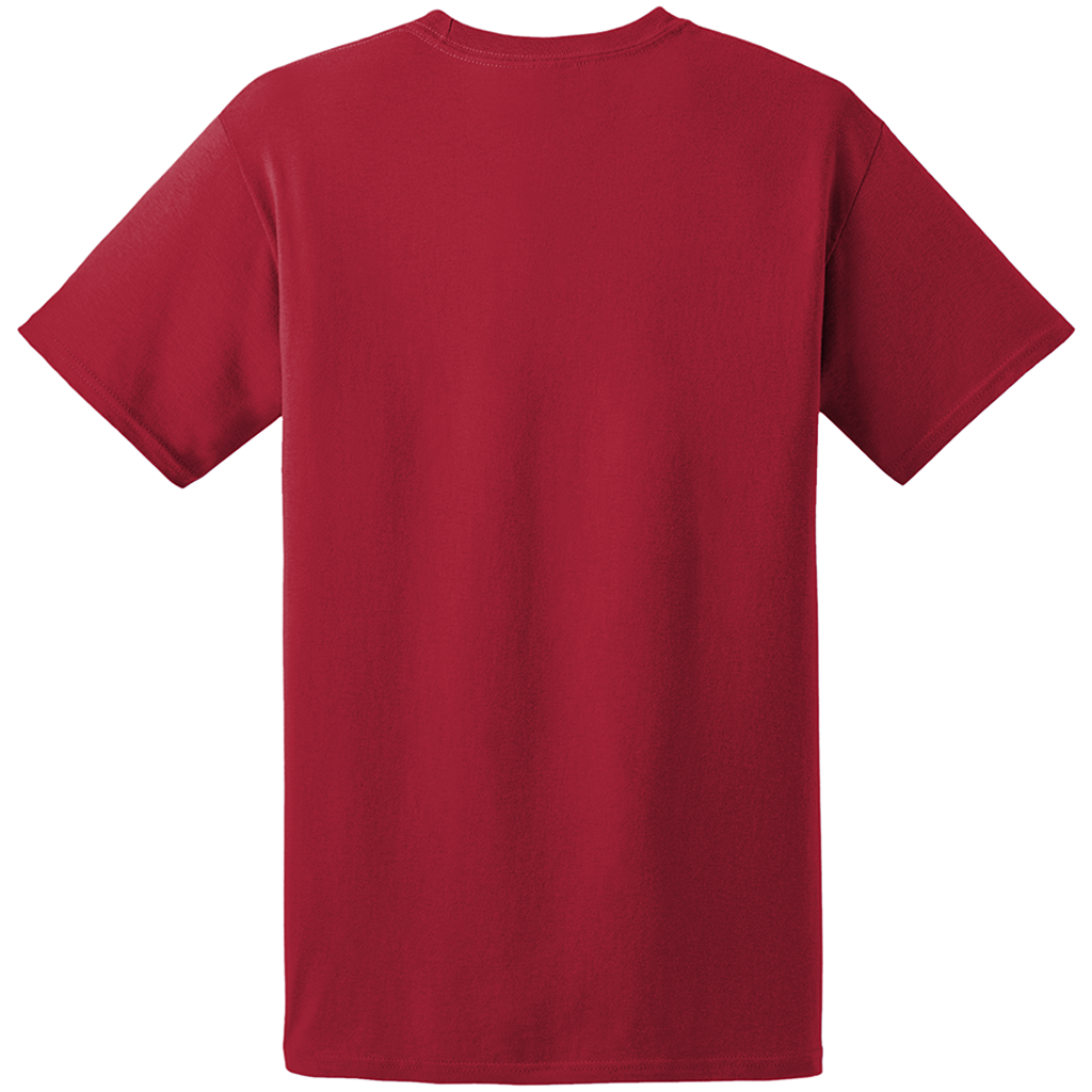 Hanes ComfortSoft 100% Cotton T-Shirt 5280