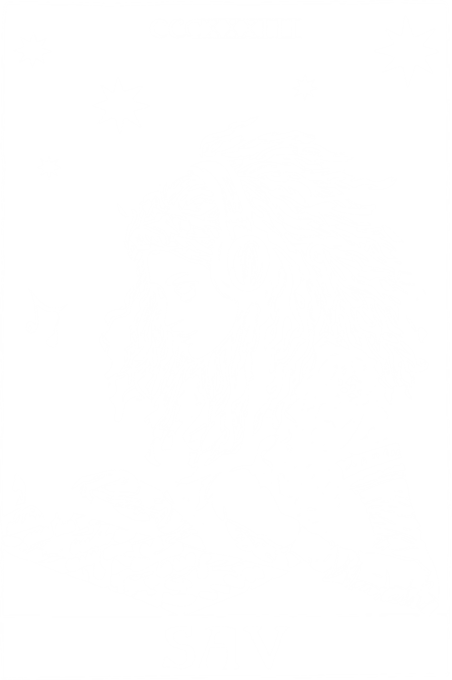 District The Concert Tank DT5300 - temp