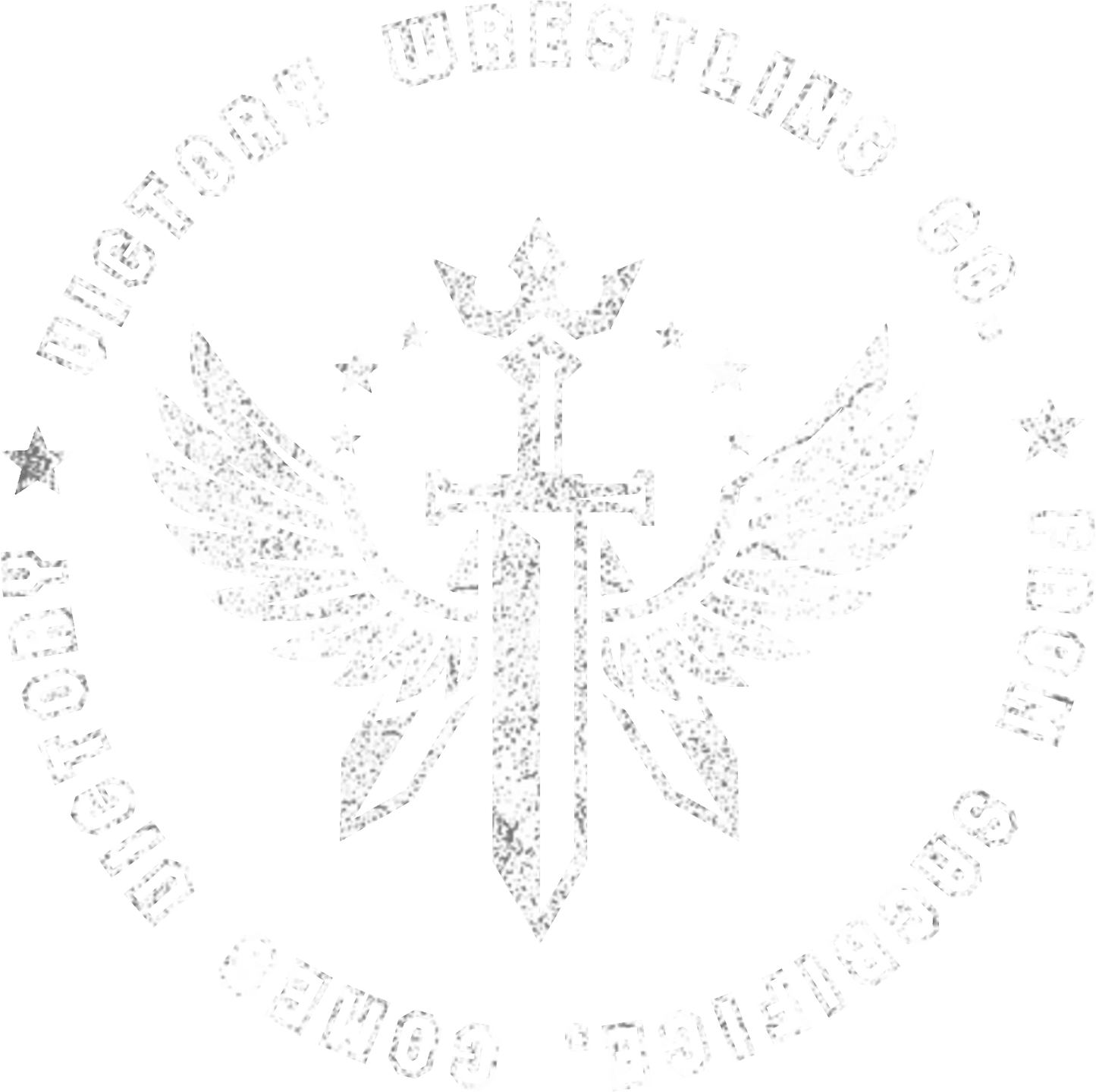 District V.I.T. Fleece Crew DT6104 - temp