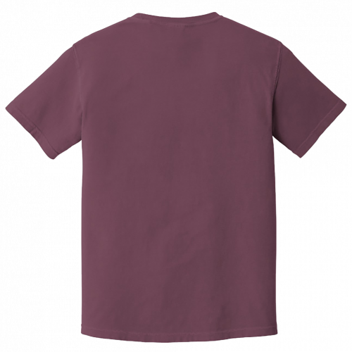 Comfort Colors Heavyweight Ring Spun Tee 1717