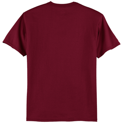 Hanes Authentic 100% Cotton T-Shirt 5250