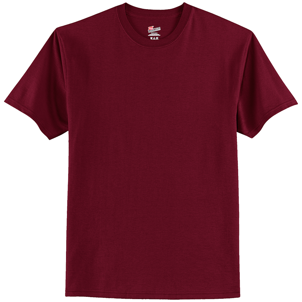 Hanes Authentic 100% Cotton T-Shirt 5250