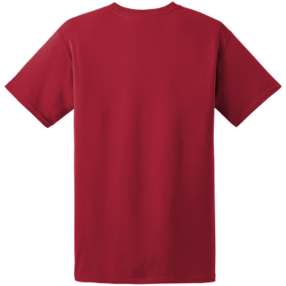 Hanes ComfortSoft 100% Cotton T-Shirt 5280