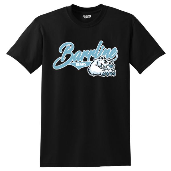 Gildan DryBlend 50 Cotton/50 Poly TShirt. 8000 Imprintmaker