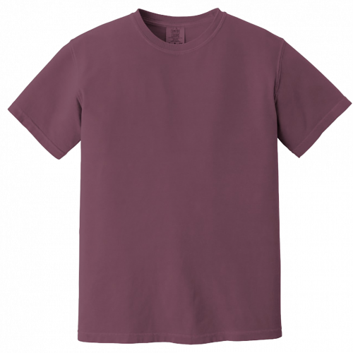 Comfort Colors Heavyweight Ring Spun Tee 1717