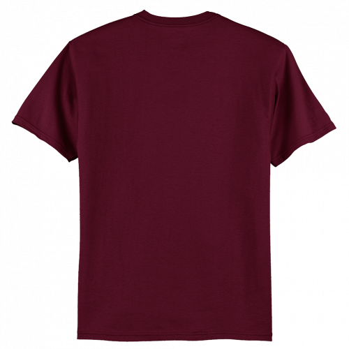 Hanes - Authentic 100% Cotton T-Shirt 5250 (Customer Supplied ...