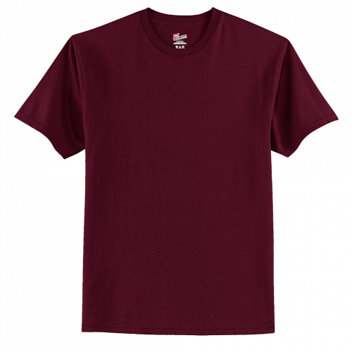 Hanes - Authentic 100% Cotton T-Shirt 5250 (Customer Supplied)