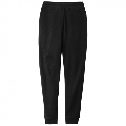 DistrictV.I.T. Fleece Jogger DT6107 (DT) (Customer Supplied)